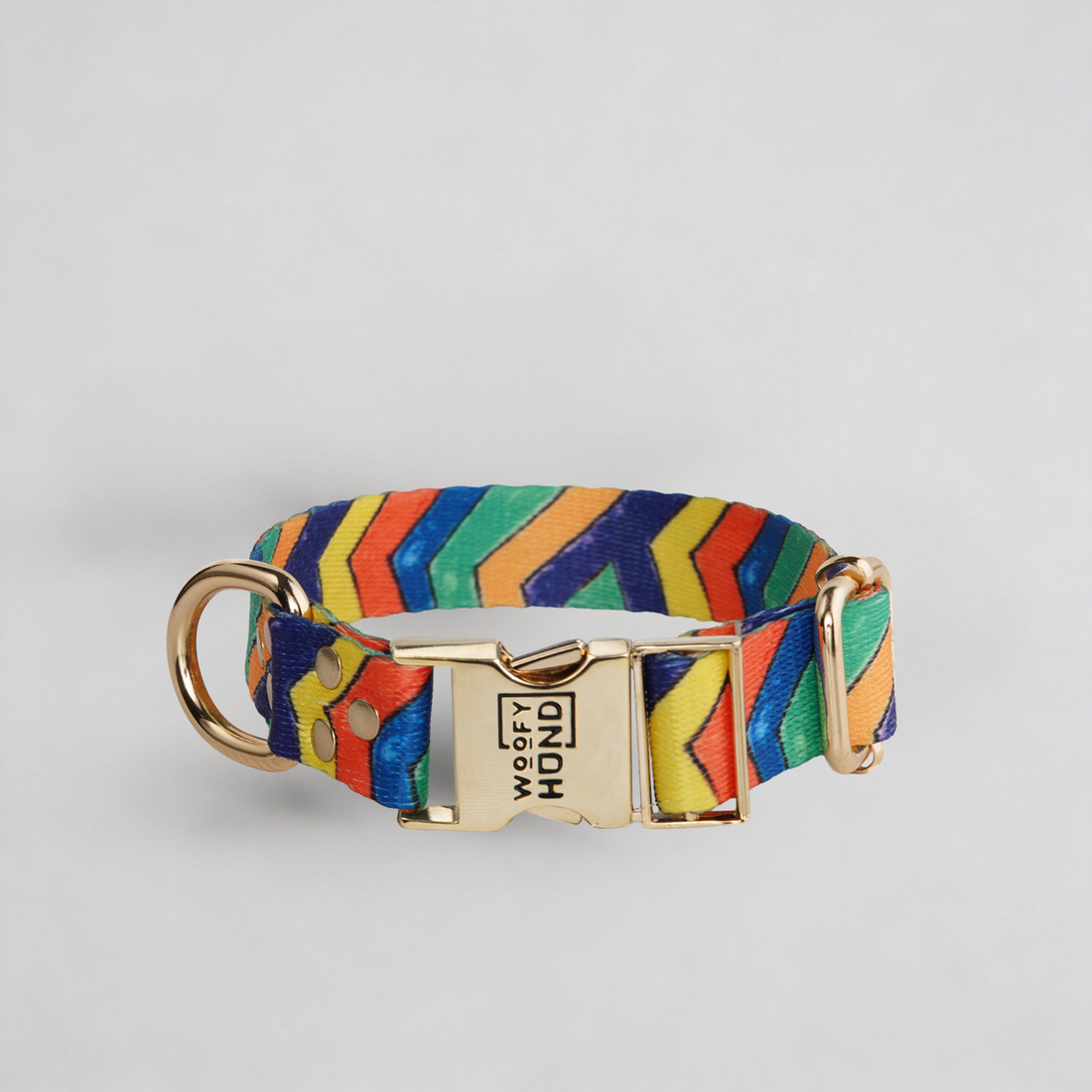 Festival Dog Collar 🐾