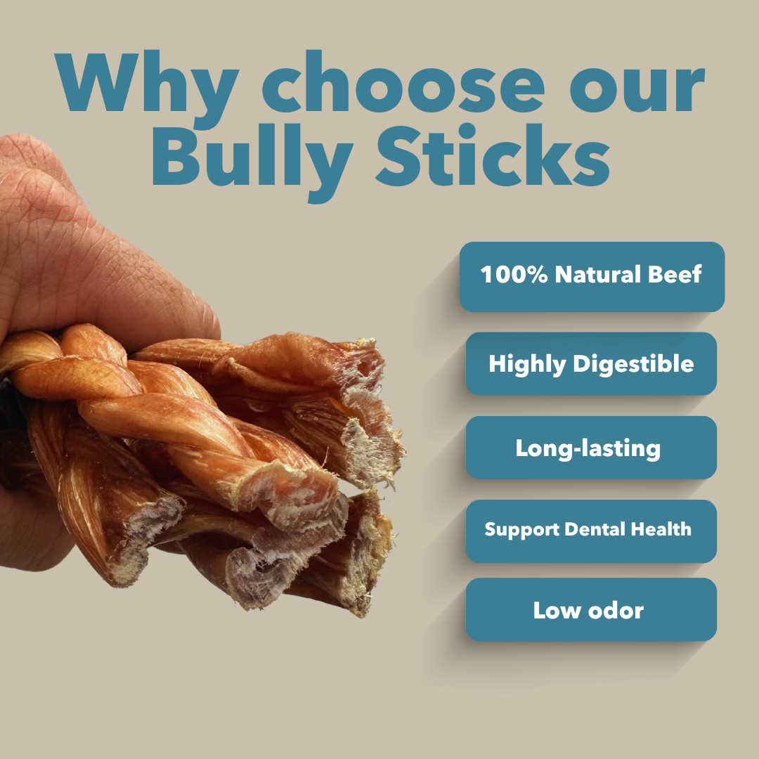 6" Standard Braided Bully Sticks Display Box