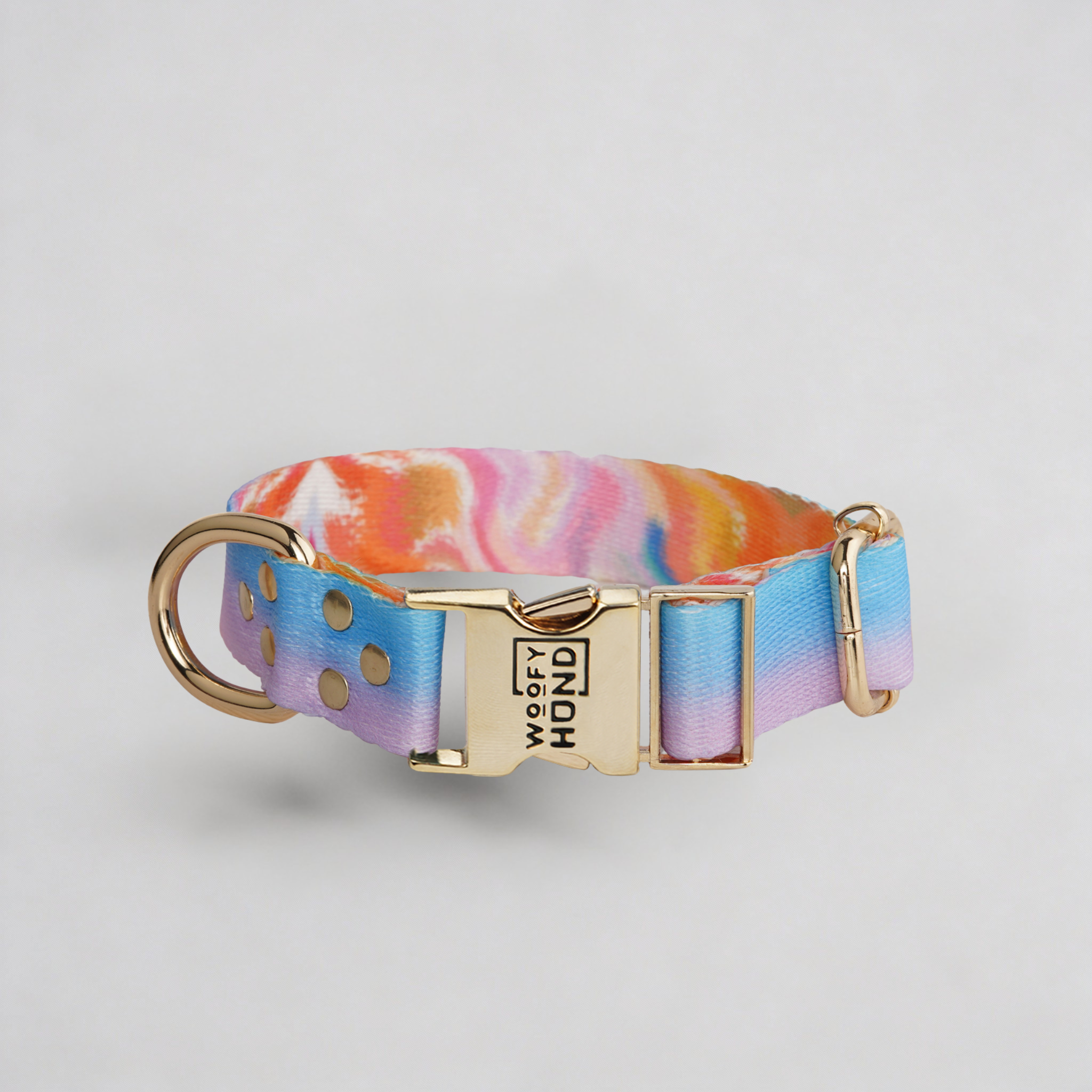 Aurora Dog Collar 🐾