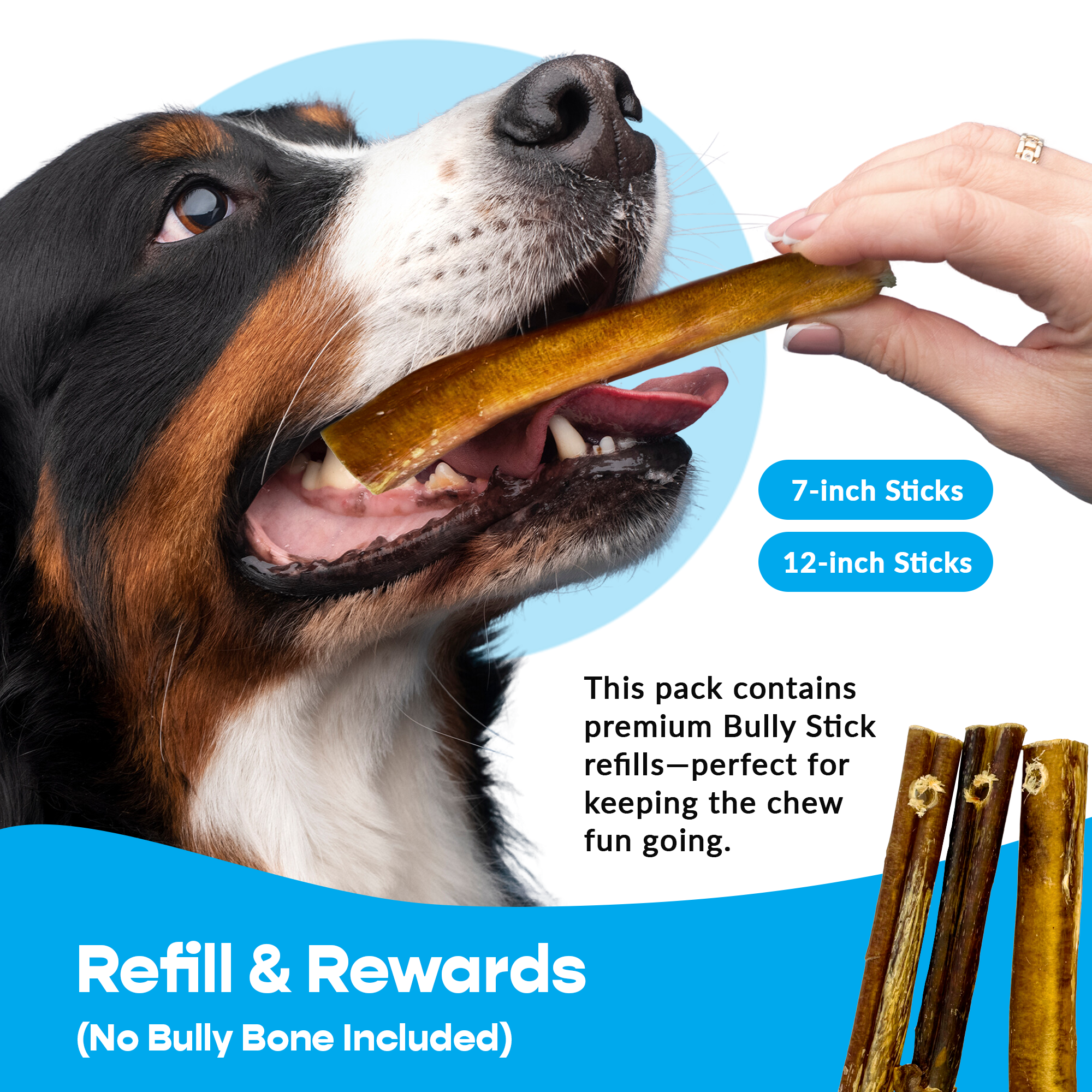 12" Jumbo Bully Sticks - Refill Pack