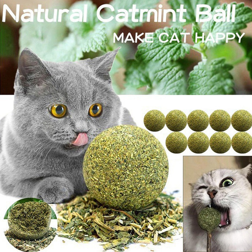 Pet Catnip Toys Edible Catnip Ball Safety Healthy Cat Mint Cats Home Chasing Game Toy Products Clean Teeth The Stomach Catmint-1