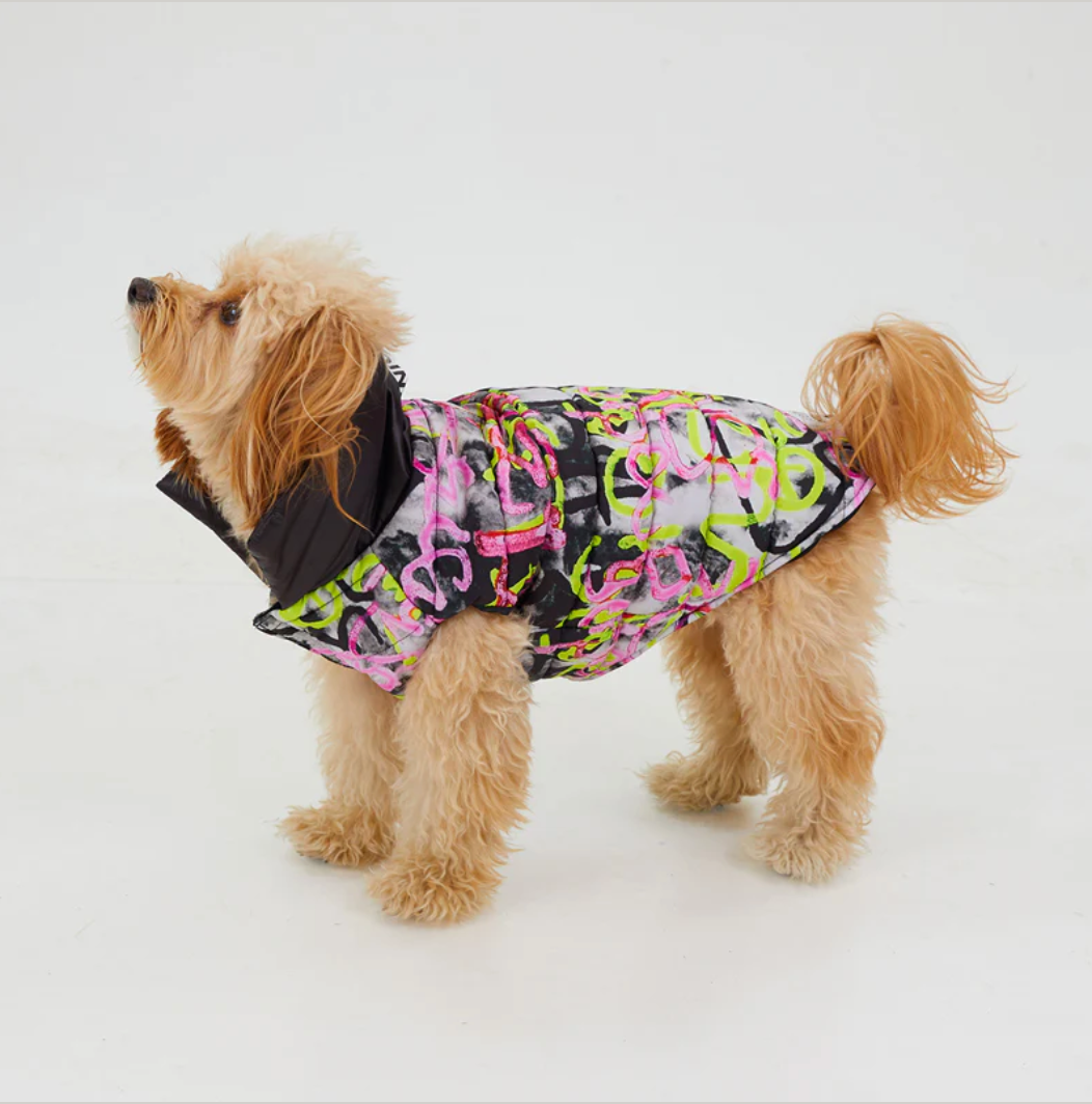 Graffiti Dog Coat 🐕