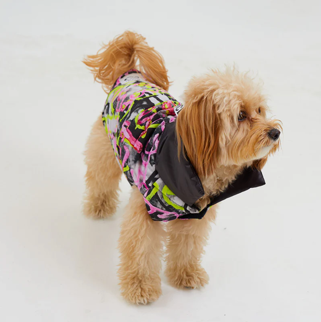 Graffiti Dog Coat 🐕