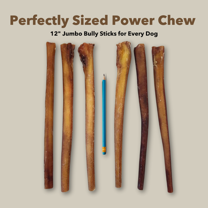 12" Jumbo Bulk Bully Sticks