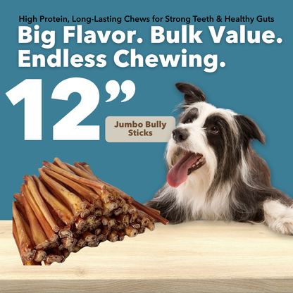 12" Jumbo Bulk Bully Sticks