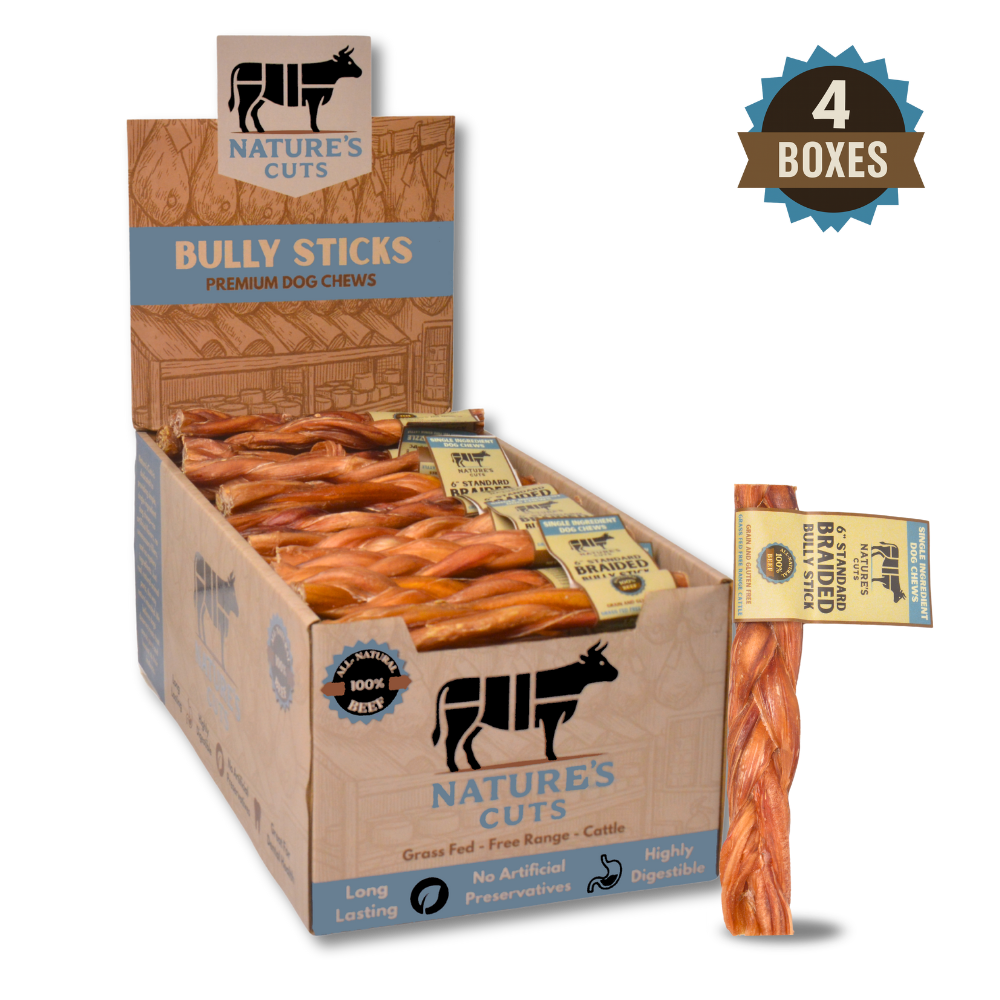 6" Standard Braided Bully Sticks Display Box