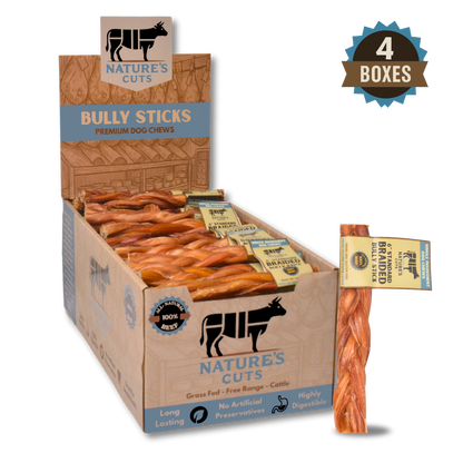 6" Standard Braided Bully Sticks Display Box