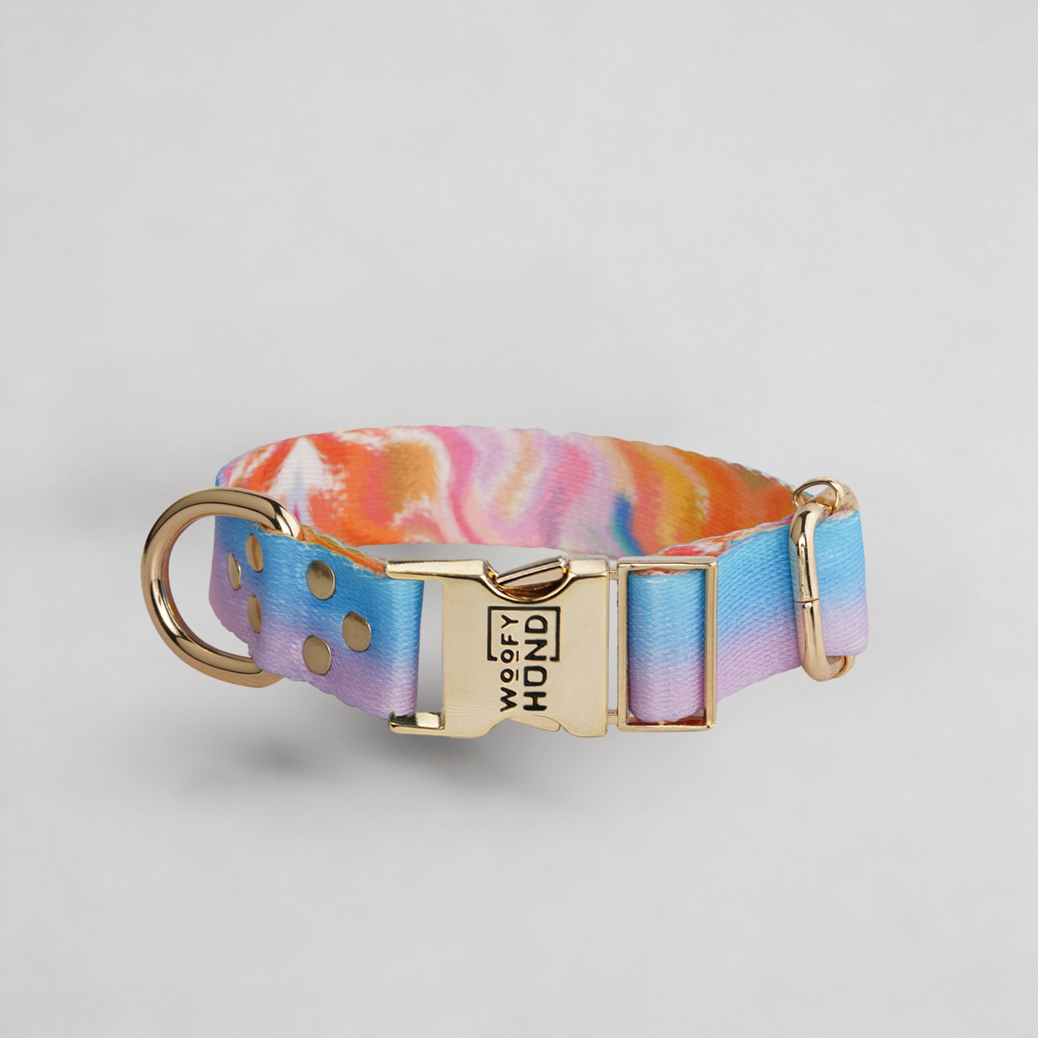 Aurora Dog Collar 🐾