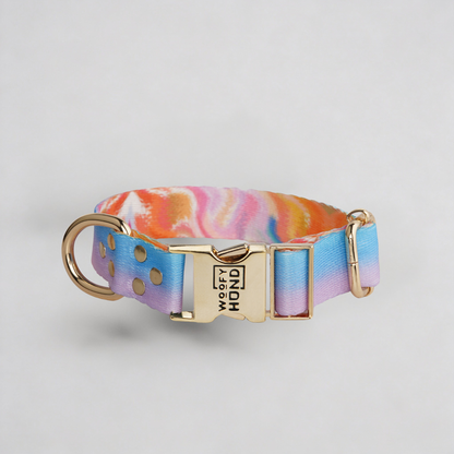 Aurora Dog Collar 🐾