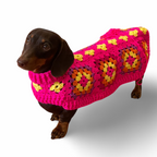 Handmade Crochet Dachshund Coat / Jumper - Hot Pink-4