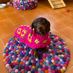 Handmade Crochet Dachshund Coat / Jumper - Hot Pink-3