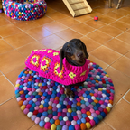 Handmade Crochet Dachshund Coat / Jumper - Hot Pink-2