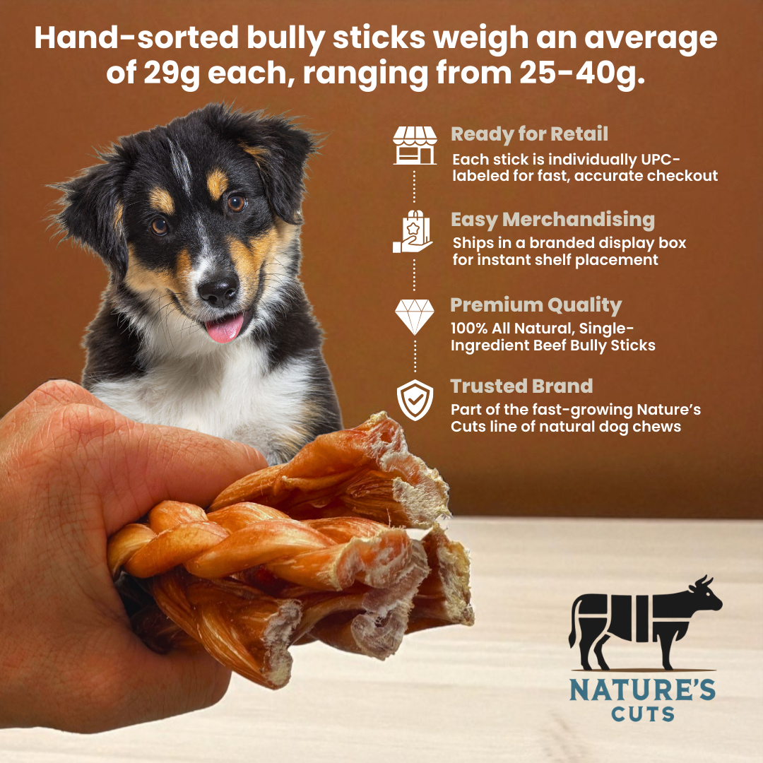 6" Standard Braided Bully Sticks Display Box