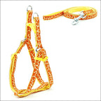 Pet Chest Strap and Leash Set-4