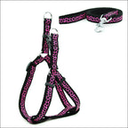 Pet Chest Strap and Leash Set-19