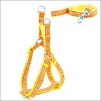 Pet Chest Strap and Leash Set-21