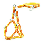 Pet Chest Strap and Leash Set-27