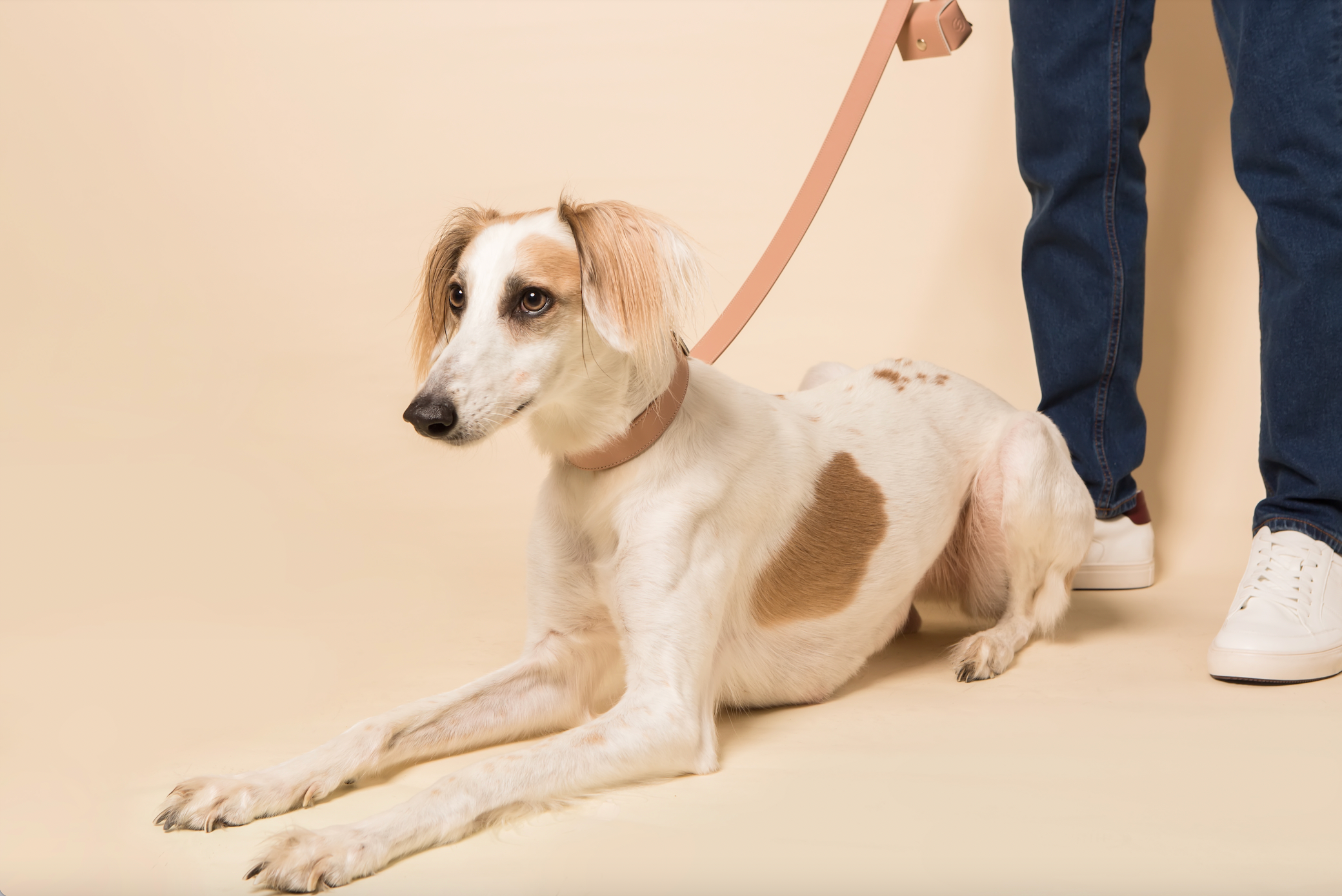 Blush pink apple leather lead