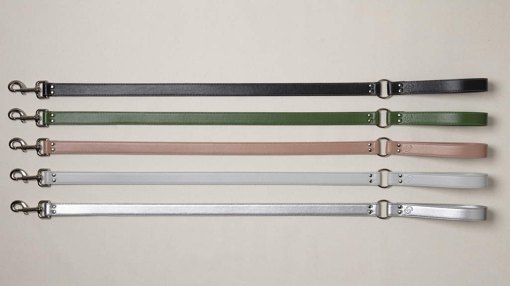 Silver apple leather lead
