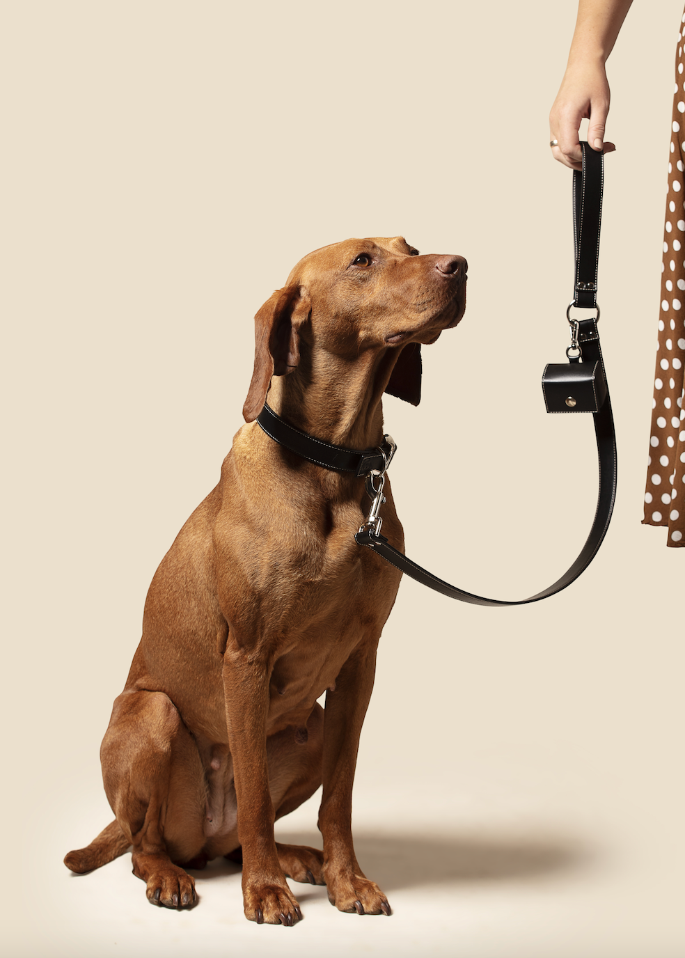 Classic black vegan apple leather dog collar