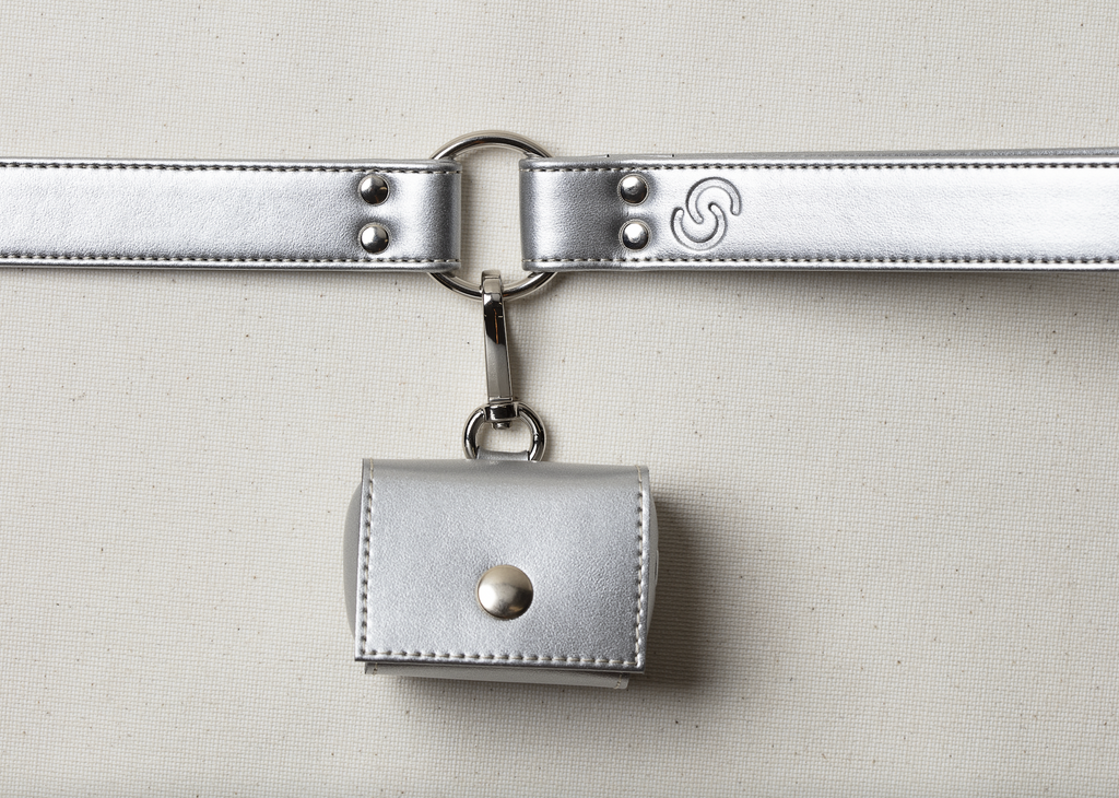 Silver apple leather lead