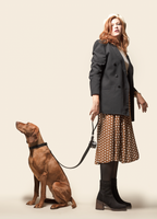 Black apple leather lead