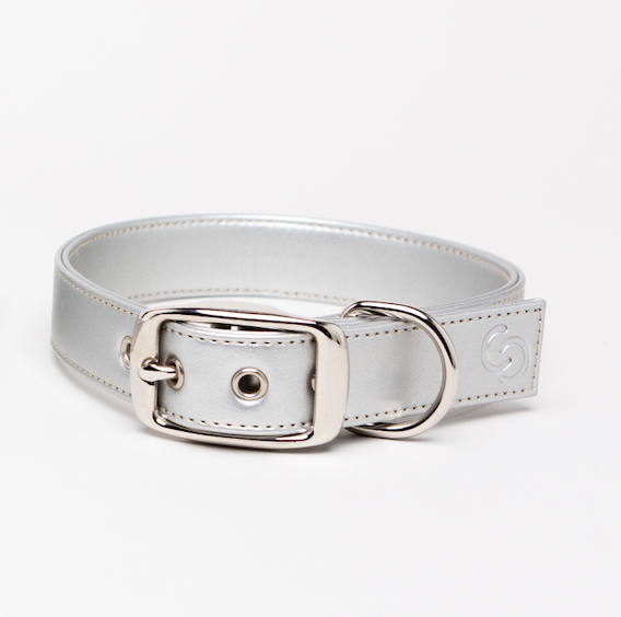 Silver apple leather dog collar