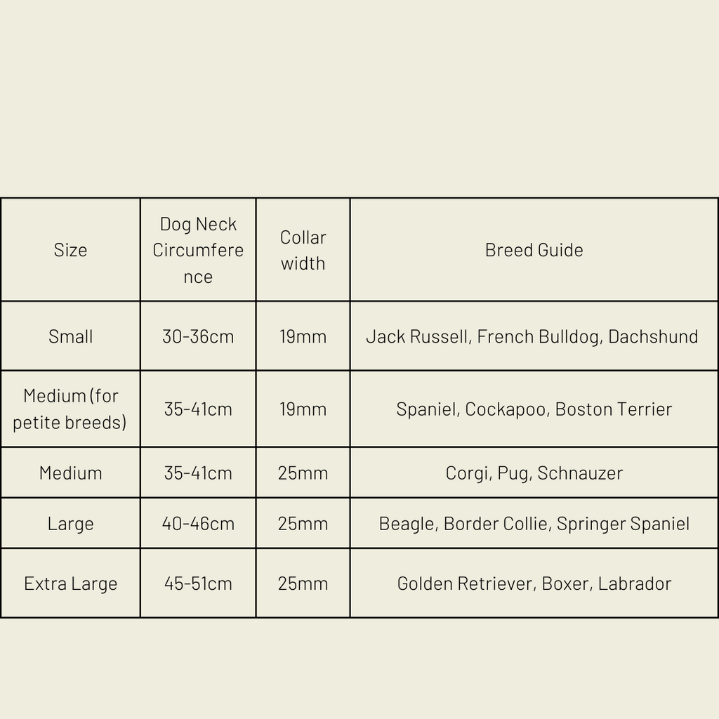 Silver apple leather dog collar