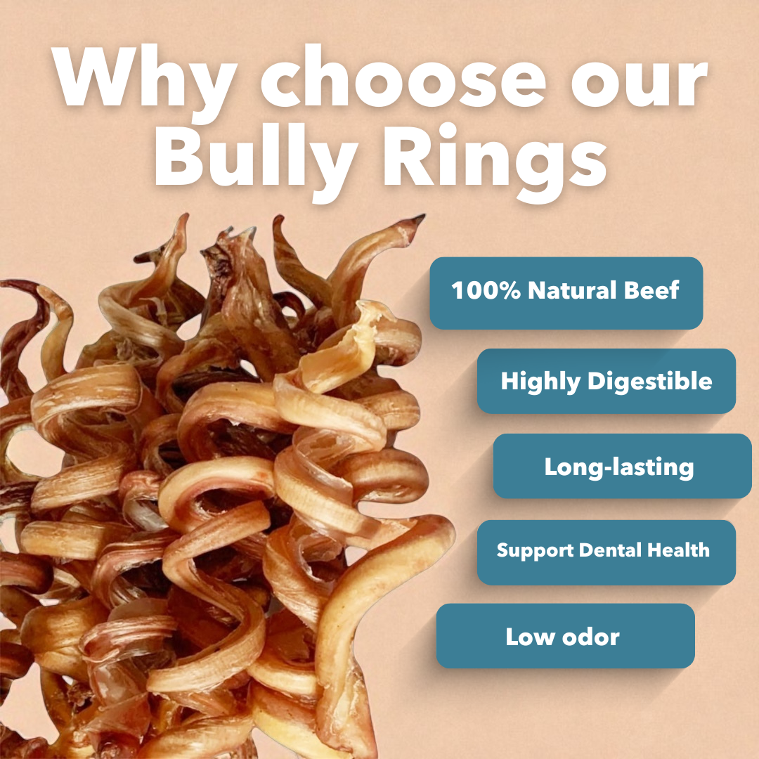 6-9" Bulk Bully Springs