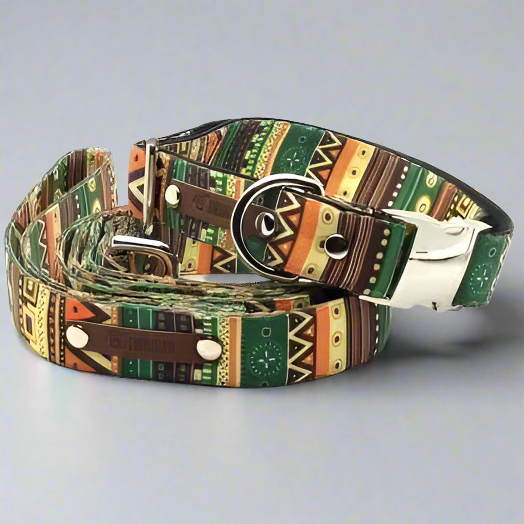 Finnigan's Fabulous  Dog Collar Set-2