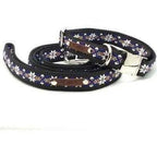 Finnigan Designer Dreams Collar Set-1