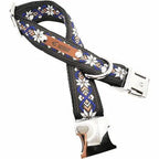 Finnigan Designer Dreams Collar Set-4