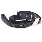 Finnigan's Big Breed Designer Dog Collar & Leash Set-1