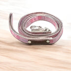 Finnigan's Dash Designer Dog Lead - Elegance Redefined-0