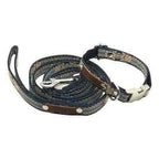 Finnigan's Fabulous Designer Collar Set-1