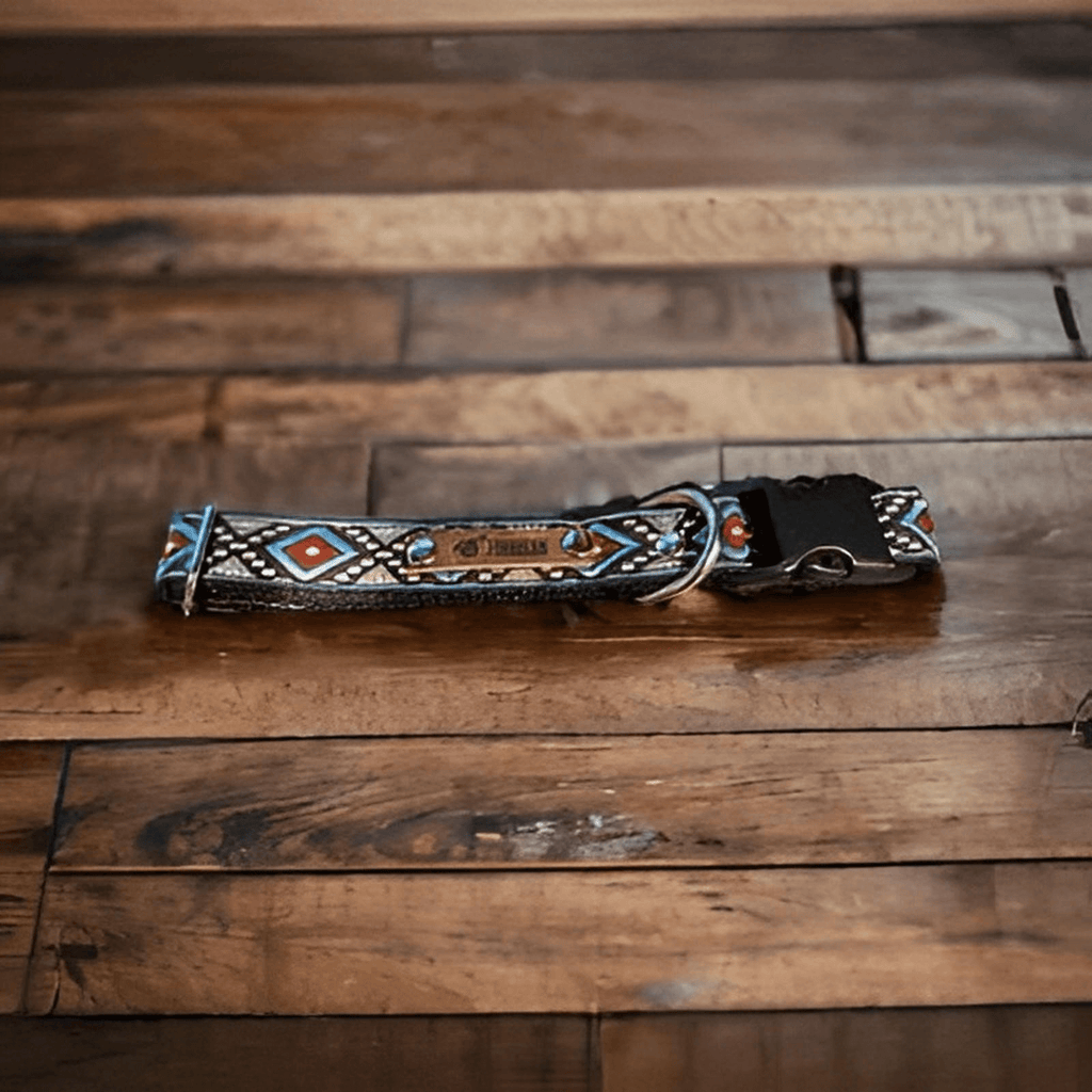 Finnigan's Luxe Pet Collar Set-0