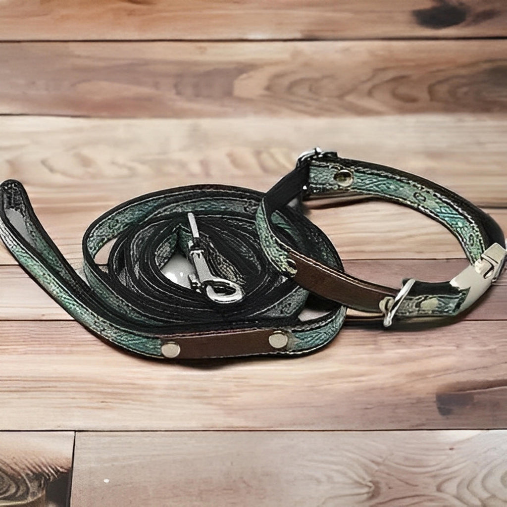 Finnigan's Pampered Pup Collar Set with Custom Engraving-0