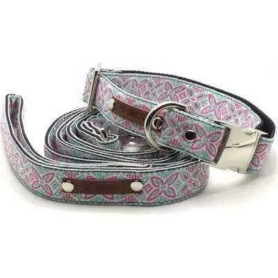 Finnigan's Signature Dog Collar Set-1