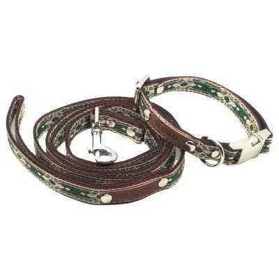 Finnigan’s Whimsical Designer Dog Collar Set-1