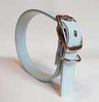 Ice blue vegan apple leather dog collar