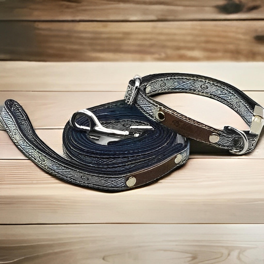 Petite Pooch Parade Designer Dog Collar Set-0